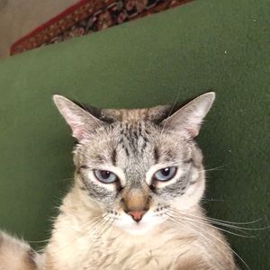 Meet your Posher, Erma